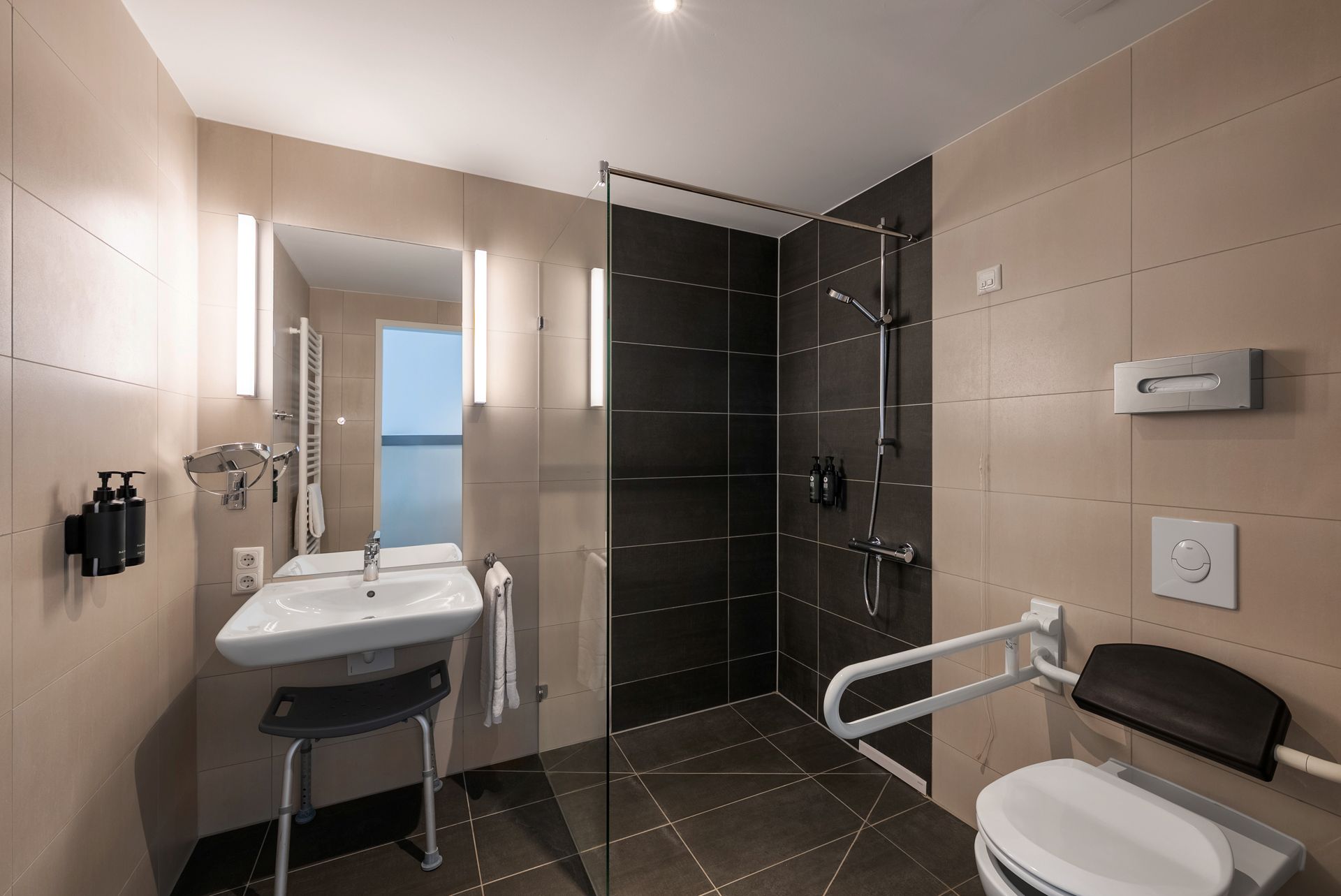 Standard Accessible Room